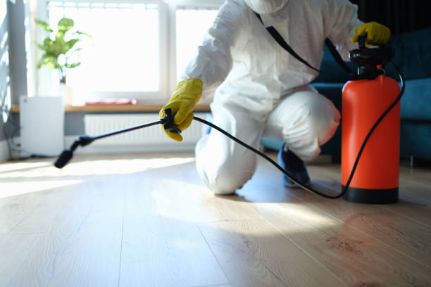 Reliable Odor Removal contractor in Merritt Island, FL by Trauma Clean Pros